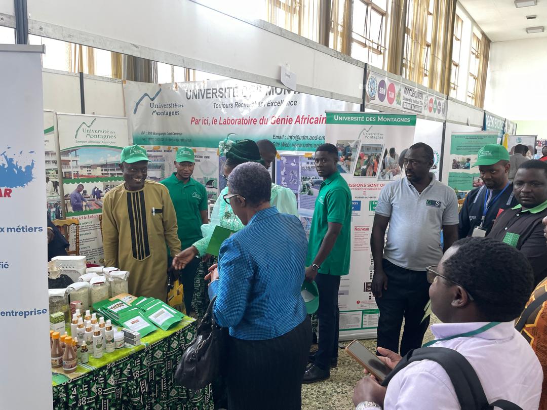 Fashion Collection Showcase